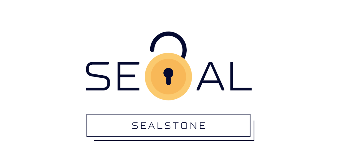 An Overview of Meter Seals